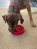 SodaPup - Santa Design eBowl Enrichment Slow Feeder Bowl for Dogs: Santa eBowl - red SodaPup