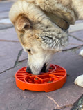 SodaPup - Yin Yang Design Shallow eTray Enrichment Slow Feeder Tray for Dogs: Green SodaPup