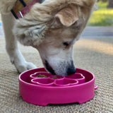 SodaPup - Flower Design eBowl Enrichment Slow Feeder Bowl for Dogs: Flower Bowl - Purple SodaPup