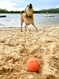 SodaPup - Smile Ball Durable Synthetic Rubber Chew & Retrieving Ball SodaPup