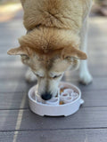 SodaPup - Java Design eBowl Enrichment Slow Feeder Bowl for Dogs: Coffee Bean SodaPup