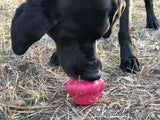 SodaPup - Cupcake Durable Rubber Chew Toy & Treat Dispenser - Pink: Large Cup Cake Toy SodaPup