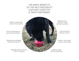 SodaPup - Cupcake Durable Rubber Chew Toy & Treat Dispenser - Pink: Large Cup Cake Toy SodaPup
