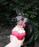 SodaPup - Cupcake Durable Rubber Chew Toy & Treat Dispenser - Pink: Large Cup Cake Toy SodaPup