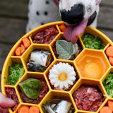 SodaPup - Honeycomb Design eBowl Enrichment Slow Feeder Bowl for Dogs: Yellow SodaPup