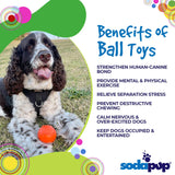 SodaPup - Smile Ball Durable Synthetic Rubber Chew & Retrieving Ball SodaPup