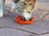 SodaPup - Yin Yang Design Shallow eTray Enrichment Slow Feeder Tray for Dogs: Orange SodaPup