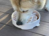 SodaPup - Java Design eBowl Enrichment Slow Feeder Bowl for Dogs: Coffee Bean SodaPup