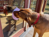 SodaPup - Lotus eMat Enrichment Lick Mat With Suction Cups: Light Purple SodaPup