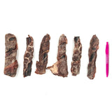 7" Charcoal Wrapped Collagen Stick - Tuesday's Natural Dog Company Tuesday's Natural Dog Company