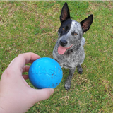SodaPup Dog Toys - Wag Ball Durable Synthetic Rubber Chew & Retrieving Toy