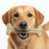 SodaPup Dog Toys - Toughbone Nylon Chew Bone: Toughbone - Brown SodaPup Dog Toys
