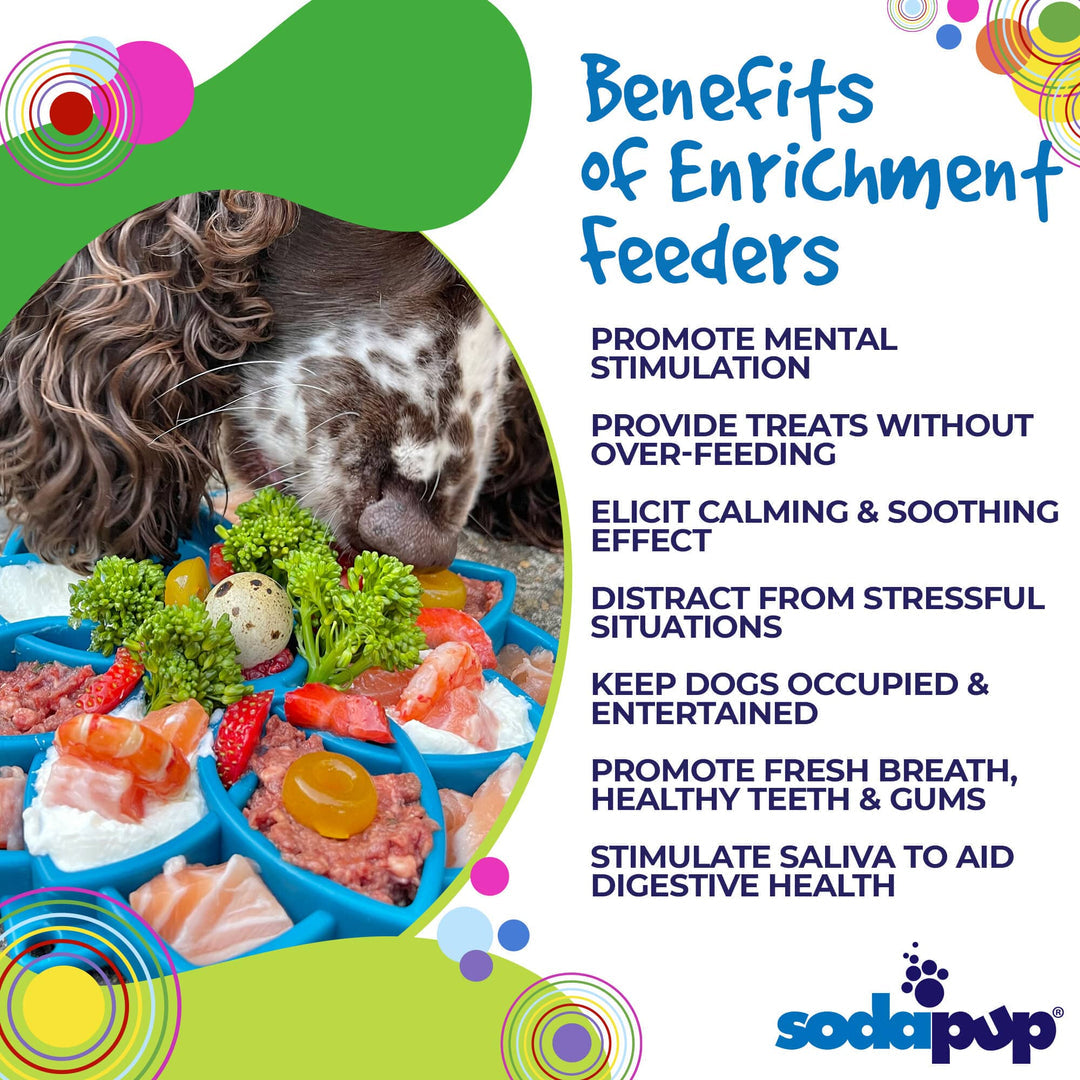SodaPup - Mandala Design eTray Enrichment Tray for Dogs Green