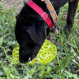 SodaPup Dog Toys - Citrus Design eMat Enrichment Lick Mat With Suction Cups: Lime Green Citrus emat SodaPup Dog Toys
