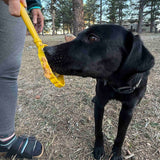 SodaPup Dog Toys - Lick Stick Hand-Held Interactive Enrichment Toys: Flower Lick Stick - Light Blue SodaPup Dog Toys