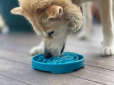 SodaPup Dog Toys - Baja Design eTray Enrichment Slow Feeder Tray for Dogs - Light Blue: Blue SodaPup Dog Toys