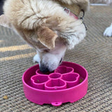 SodaPup - Flower Design eBowl Enrichment Slow Feeder Bowl for Dogs: Flower Bowl - Pink