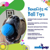 SodaPup Dog Toys - Wag Ball Durable Synthetic Rubber Chew & Retrieving Toy