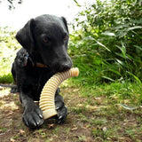 SodaPup Dog Toys - Honey Bone Dental Antler  eChew Ultra Durable Nylon Dog Chew Toy - XL: Dental Antler - XL SodaPup Dog Toys