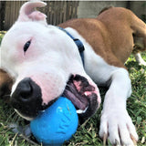 SodaPup Dog Toys - Wag Ball Durable Synthetic Rubber Chew & Retrieving Toy