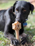 SodaPup Dog Toys - Honey Bone Dental Flower Tower eChew Ultra Durable Nylon Dog Chew Toy - XL: Flower Tower - XL SodaPup Dog Toys