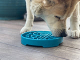 SodaPup - Baja Design eTray Shallow Slow Feeder Bowl for Dogs