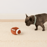 The Foggy Dog - Football Interactive Snuffle Dog Toy The Foggy Dog