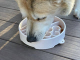 SodaPup - Java Design eBowl Enrichment Slow Feeder Bowl for Dogs: Coffee Bean