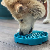 SodaPup Dog Toys - Baja Design eTray Enrichment Slow Feeder Tray for Dogs - Light Blue: Blue SodaPup Dog Toys
